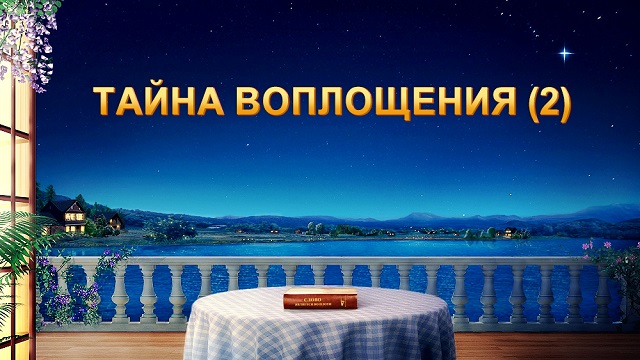 Тайны воплощения